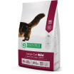 Super Premium Cat, Adult, Large, Siipikarja, 3x2kg, á 18,66€