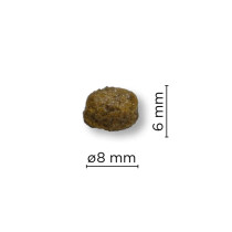 Arion GROWTH, Medium, Kala