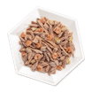 LifeCat, Tonnikala, simpukka & katkarapu, 30x70g, á 1,30€