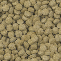 Sera Viformo Pleco Tabs 50ml, 100ml, 250ml & 2,2l