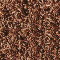Sera Bloodworms FD Snack 