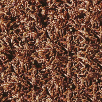 Sera Bloodworms FD Snack 
