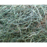 Syysheinä, kotimainen 2kg