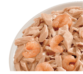 LifeCat, Tonnikala & Katkarapu, 24x85g, á 1,30€