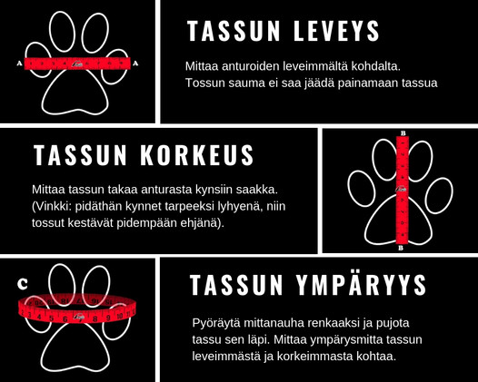HALLA, Heijastavat tossut koiralle, 4 kpl/pkt - Harmaat