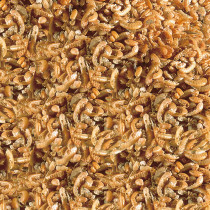 Sera Raffy I herkku vesikilpikonnille 250ml/36g