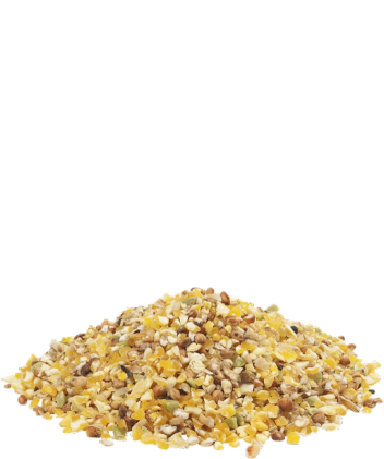 Versele-Laga Gra-Mix Chicks & Quail Grain Mix