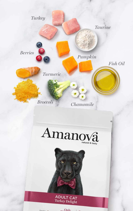 Amanova Cat Adult Kalkkuna & Kurpitsa Viljaton 1,5kg