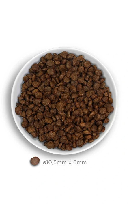 Amanova Cat Adult Kalkkuna & Kurpitsa Viljaton 1,5kg