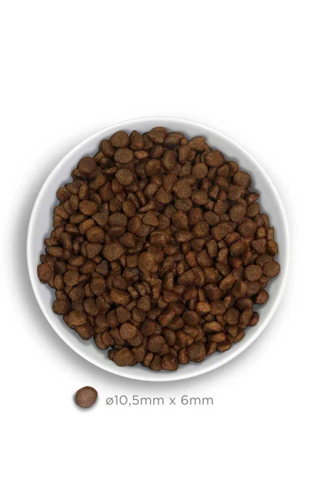 Amanova Cat Adult Kani & Kurpitsa Viljaton 1,5kg