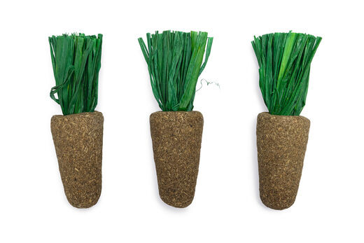 Beeztees Alfalfa-porkkanat - 3 kpl