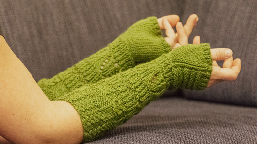 Metsäpolku -kämmekkäät