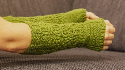 Metsäpolku -kämmekkäät