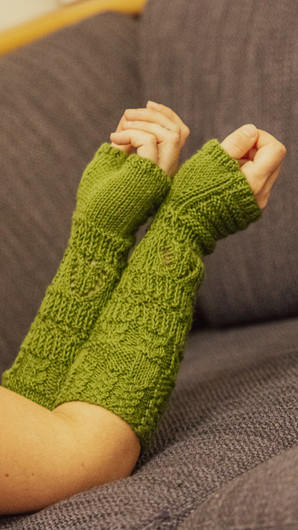 Metsäpolku -kämmekkäät