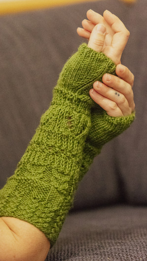 Metsäpolku -kämmekkäät