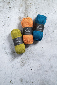 Cecilia, Svarta Fåret