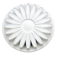 Gerbera/auringonkukka, pieni