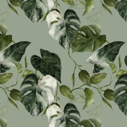 Viherpeukalot-trikoo, vihreä