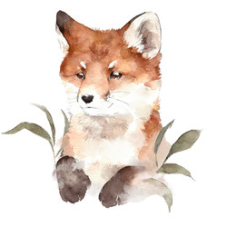 Ketunpoika-silityskuva