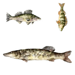 Kalakaverit-silityskuvakollaasi