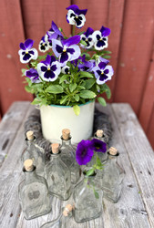 Vanha lääkepullo, kirkas apteekkipullo 100 ml