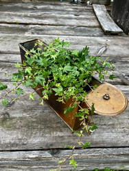 Vanha kuparinen vesisäiliö