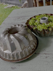 Vanha, peltinen kakkuvuoka vaikka istutusastiaksi