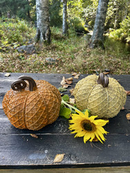 Koristekurpitsa, aidon kokoinen kurpitsa, eri värejä