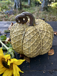 Koristekurpitsa, aidon kokoinen kurpitsa, eri värejä