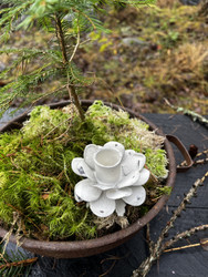 Kukan mallinen kynttilänpidike piikillä asetelmiin tai pulloon