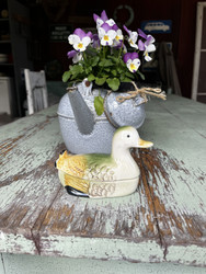 Pieni keraaminen sorsarasia