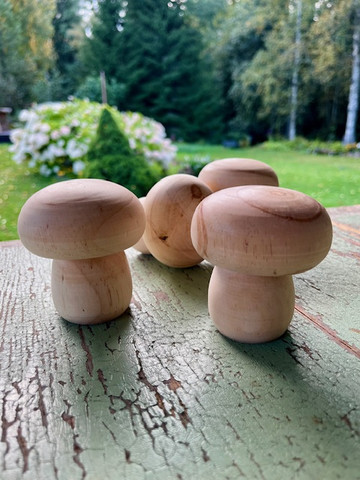 Puinen sieni, maalaamaton, tatti, Ib Laursen