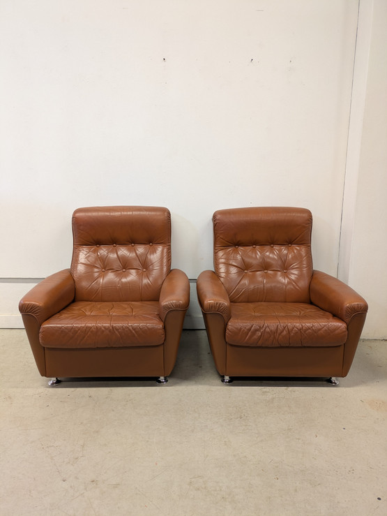 Sotka retro nahkatuoli 2kpl