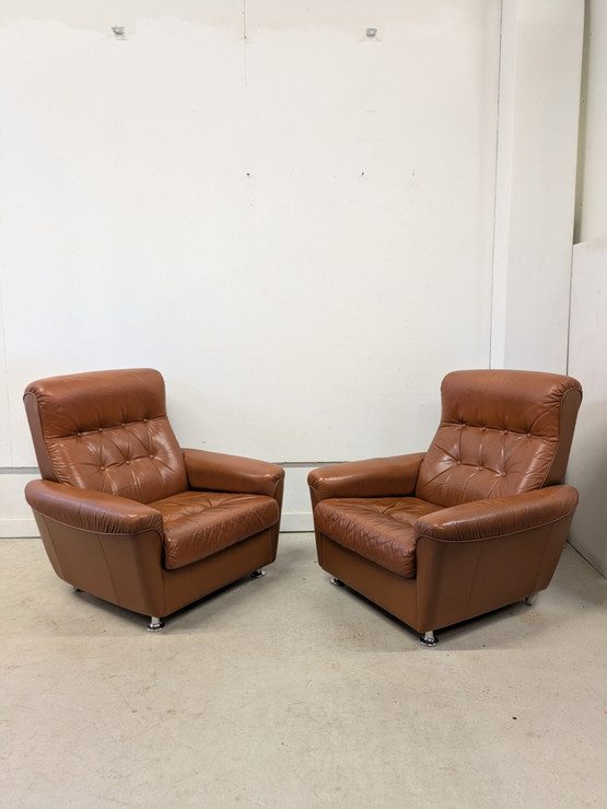 Sotka retro nahkatuoli 2kpl