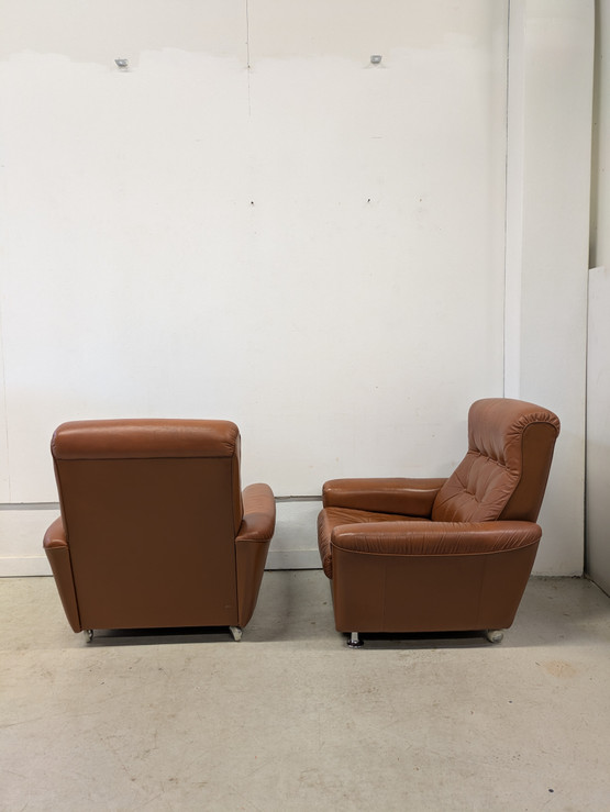 Sotka retro nahkatuoli 2kpl