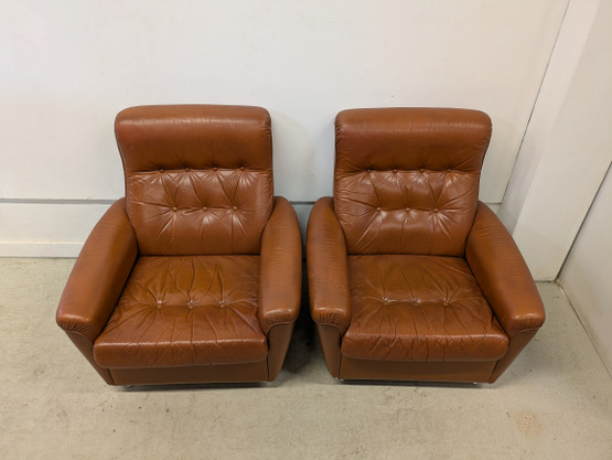 Sotka retro nahkatuoli 2kpl
