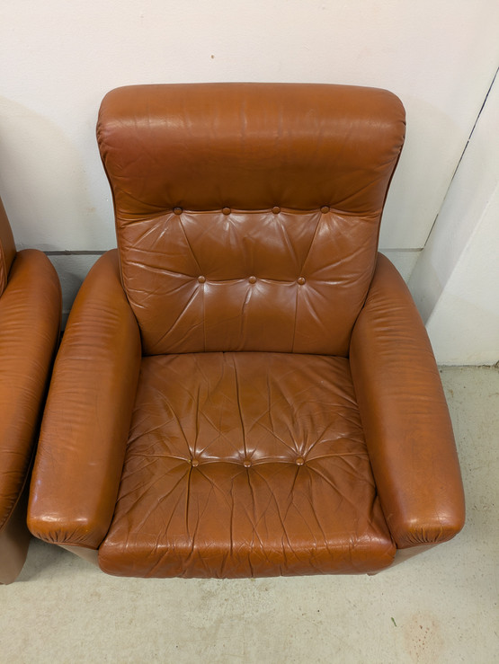 Sotka retro nahkatuoli 2kpl