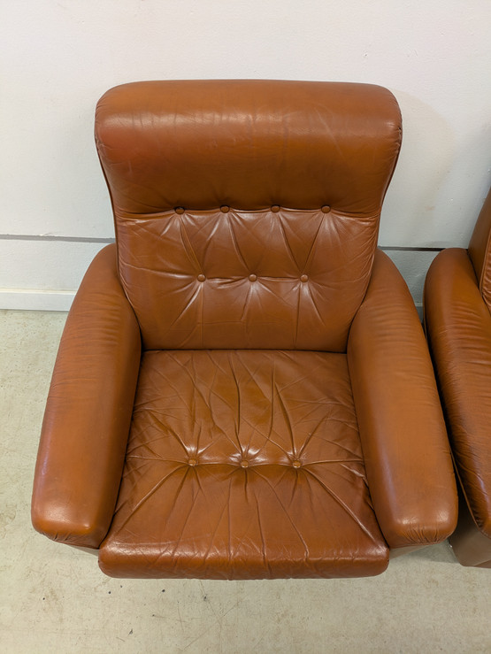 Sotka retro nahkatuoli 2kpl