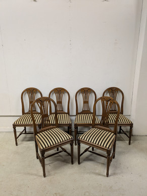 Tähkäempire tuoli 6kpl