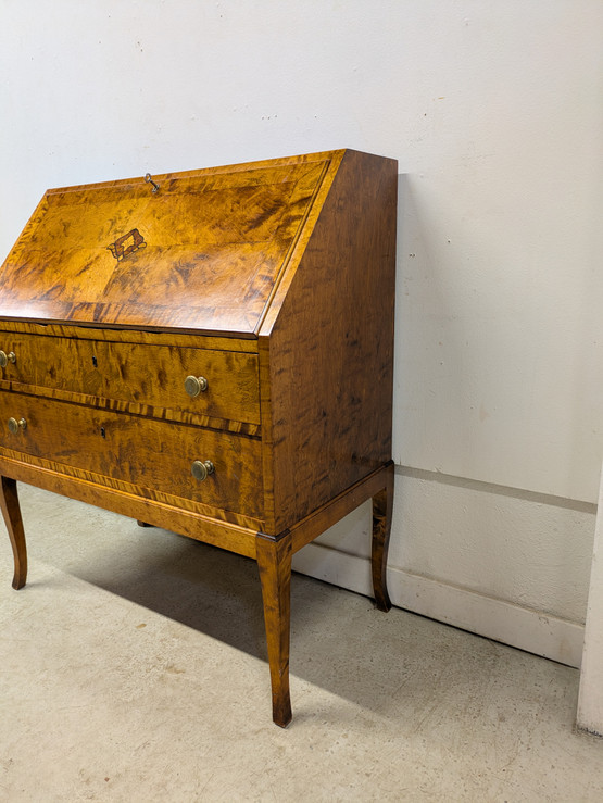 Vintage klaffilipasto 50-luku