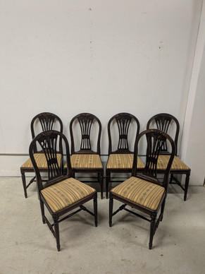 Tähkäempire tuoli 6kpl