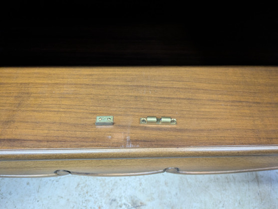 Rokokoo kirjahylly / vitriini 