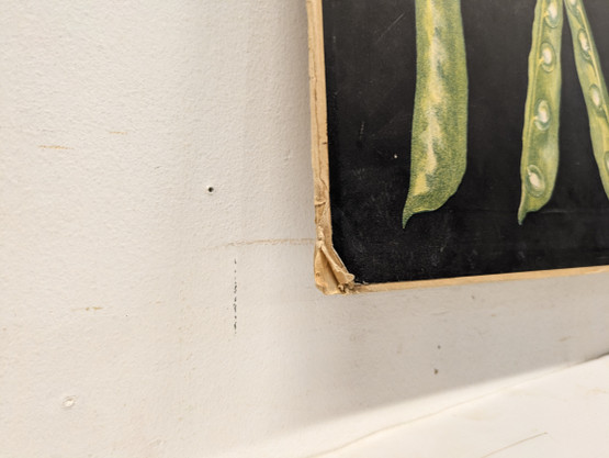 Ebba Masalin kasvitaulu 