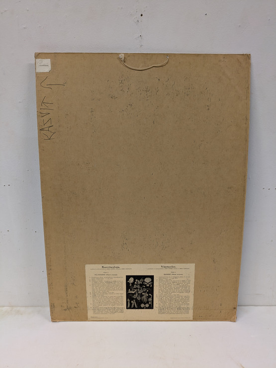 Ebba Masalin kasvitaulu 