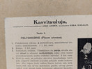 Ebba Masalin kasvitaulu 