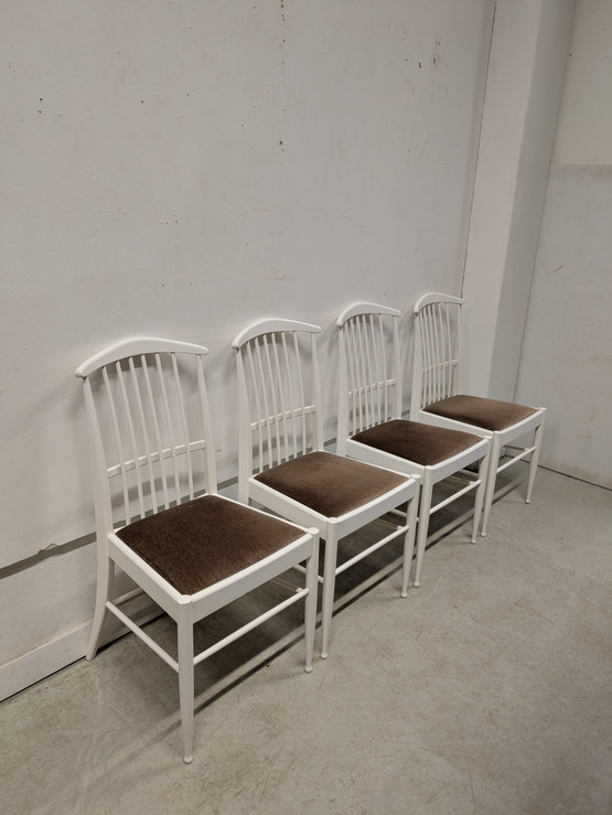 Asko Charlotte tuoli 4kpl