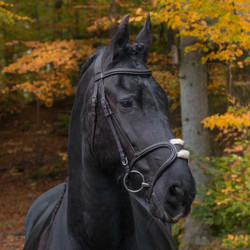 Globus Ulrika anatomiset suitset
