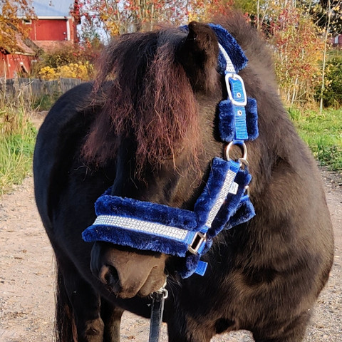 Globus pehmoriimu blingillä, keltainen tai tummansininen