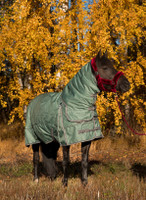 Ulkoloimi 150 g täytteellä irroitettavalla kaulakappaleella, Stirrup 