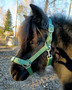 Wahlsten turvalta avattava nylonriimu vihreä, pony-cob
